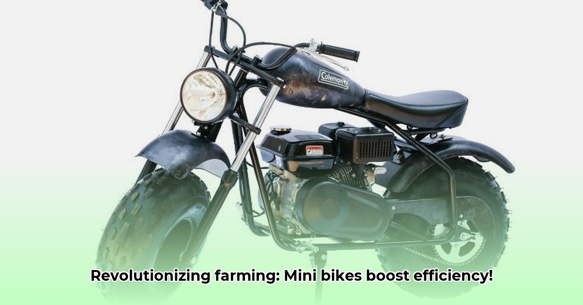 mini-bikes-from-tractor-supply